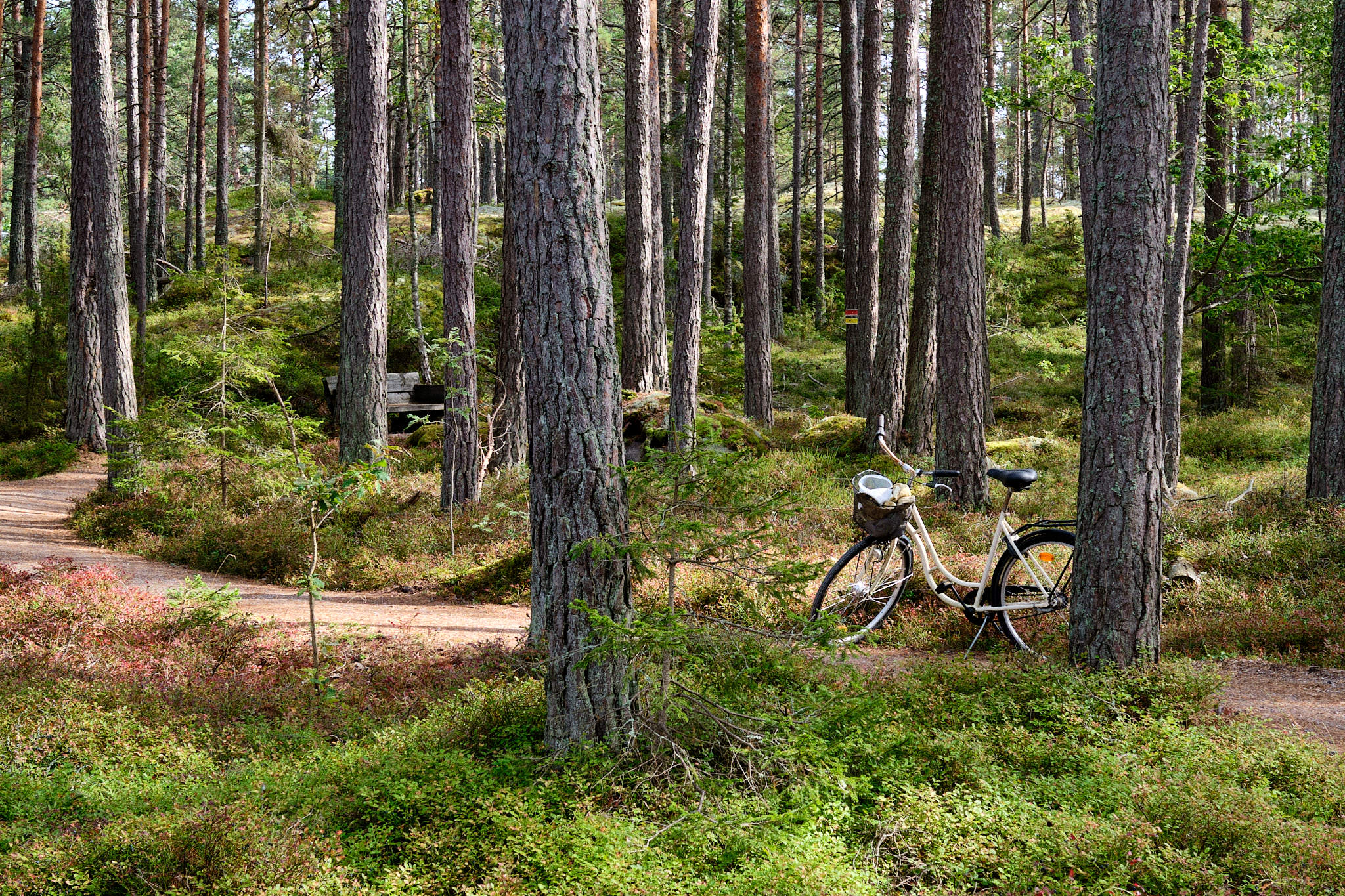Schweden / Sweden